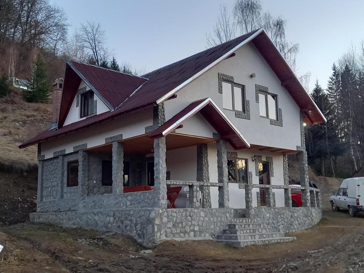 Cabana Belvedere Dragoslavele Exterior foto