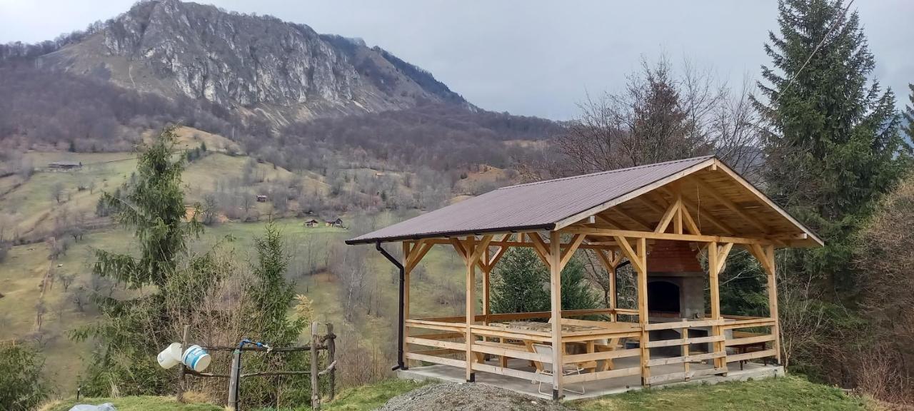 Cabana Belvedere Dragoslavele Exterior foto